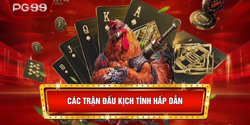 Các Trận Đấu Kịch Tính Hấp Dẫn